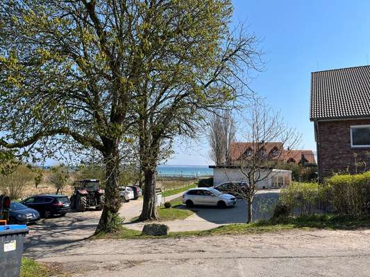 Ostsee mit Hund - Hundestrandnähe-Beitrag-Bild