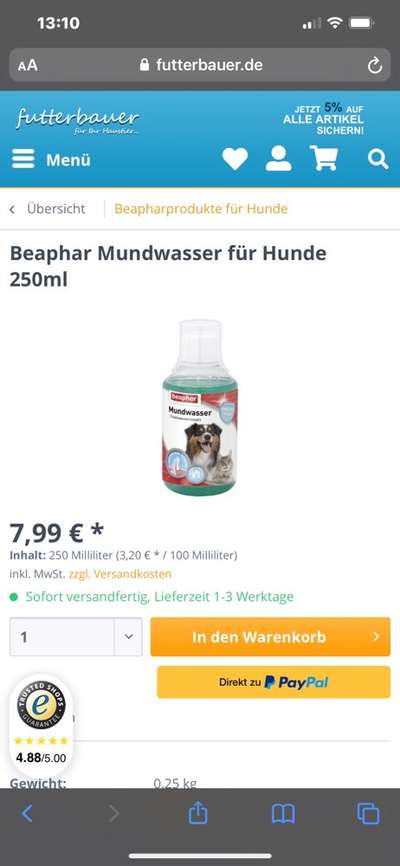 Zahnpflege-Beitrag-Bild