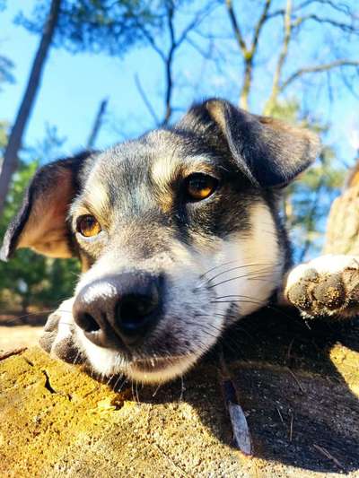 27. Handy Fotochallenge-Beitrag-Bild