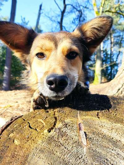 27. Handy Fotochallenge-Beitrag-Bild