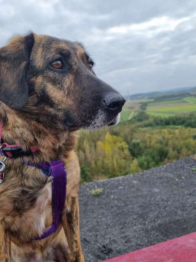 Fotochallenge Nr. 67: Euer Lieblingsbild-Beitrag-Bild