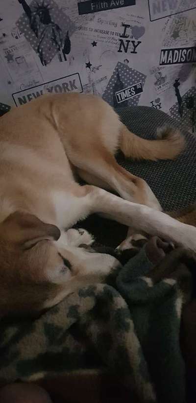 Drängler(in) bei Türen-Beitrag-Bild