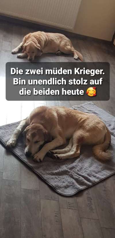 Was hat euch heute gefreut?-Beitrag-Bild