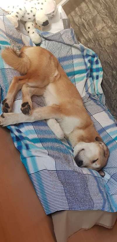 Was hat euch heute genervt?-Beitrag-Bild