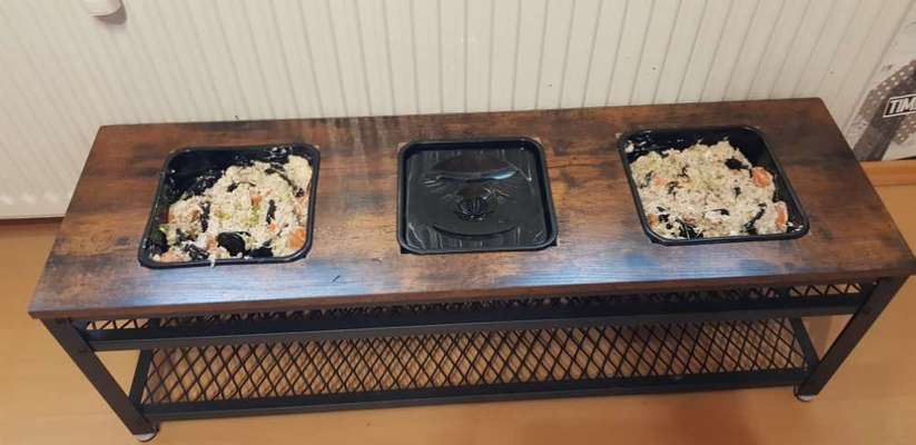 Kreative Napfhalterung-Beitrag-Bild