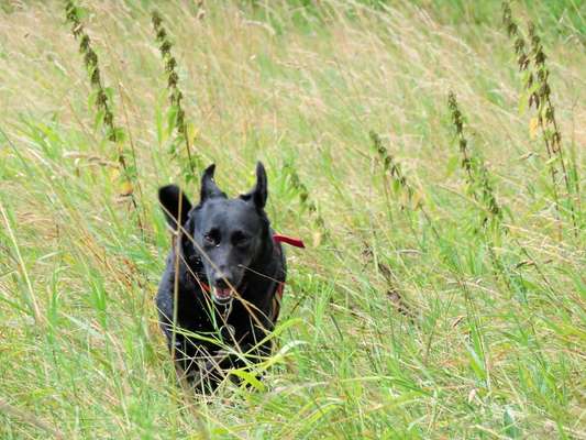 Fotochallange 84-Beitrag-Bild