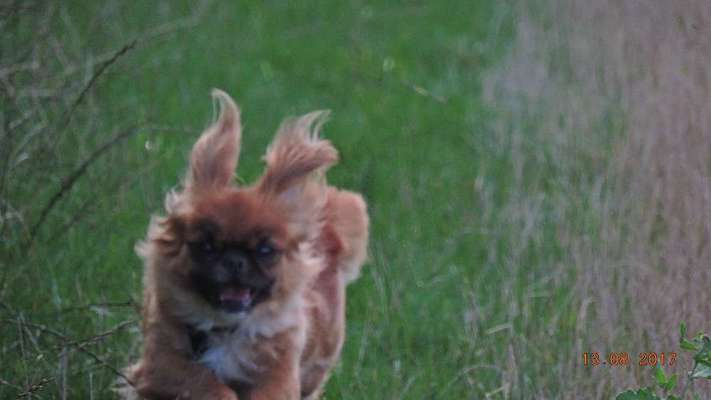 Fotochallange 84-Beitrag-Bild