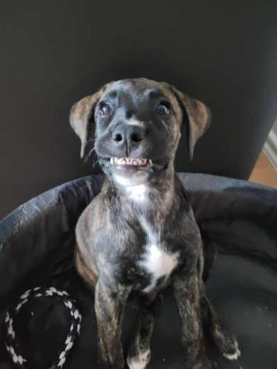 Hier ist der Spaßthread. Zum Schmunzeln und Kaputtlachen-Beitrag-Bild