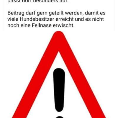 Giftköder-Giftköder-Bild