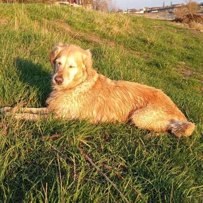 Emma Charly's Profilbild