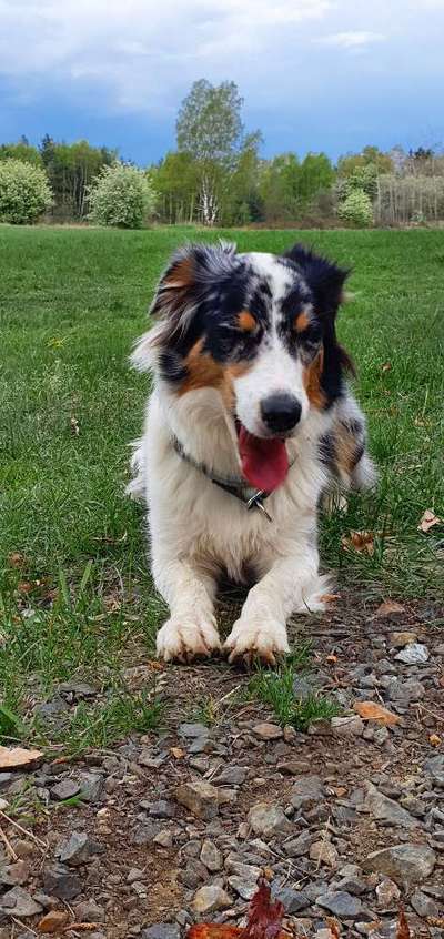 Fotowettbewerb Natur-Beitrag-Bild