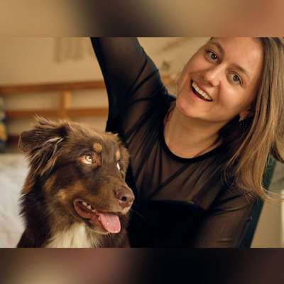 Hundetreffen-Gegenseitiges Hundesitting 🦮🐕‍🦺-Profilbild