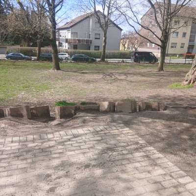 Hundeauslaufgebiet-Kiefernstraße-Bild