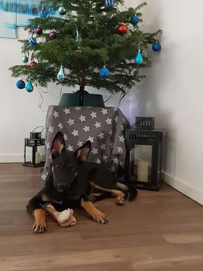 Vorher.... Nachher-Beitrag-Bild