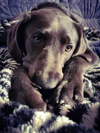 Fotochallenge Nr. 67: Euer Lieblingsbild-Beitrag-Bild