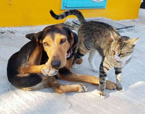 CHALLENGE Nr.17-Beitrag-Bild