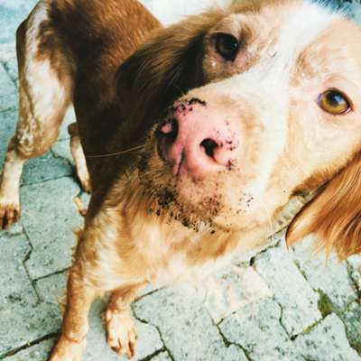 Fotochallange Nr. 57     PORTRÄT.   Beendet!!!!!!!!-Beitrag-Bild