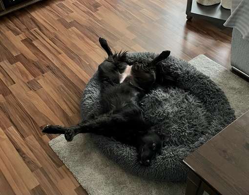 Fotochallenge Nr.65-Beitrag-Bild