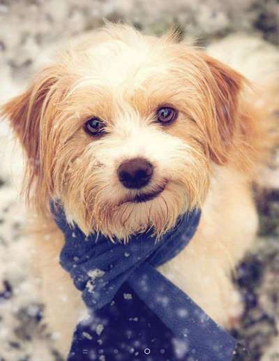 Fotochallange Nr. 57     PORTRÄT.   Beendet!!!!!!!!-Beitrag-Bild