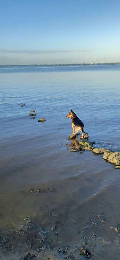 Dogorama Photo Challenge - Steine/Felsen-Beitrag-Bild