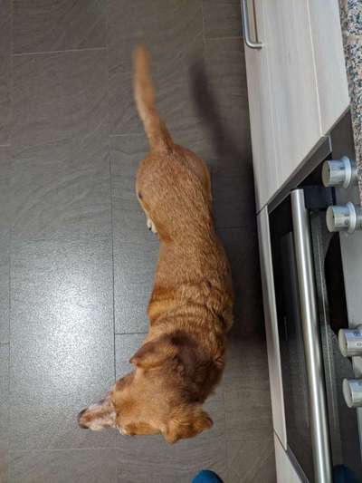 Der Gewichts-Thread-Beitrag-Bild