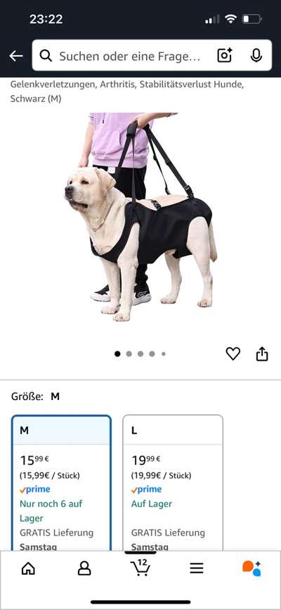 Arthrose/ Treppe-Beitrag-Bild