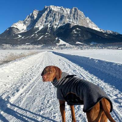 Welche Mäntel empfehlt ihr?-Beitrag-Bild