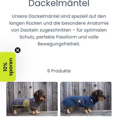 Dackel Zubehör / Geschirr-Beitrag-Bild