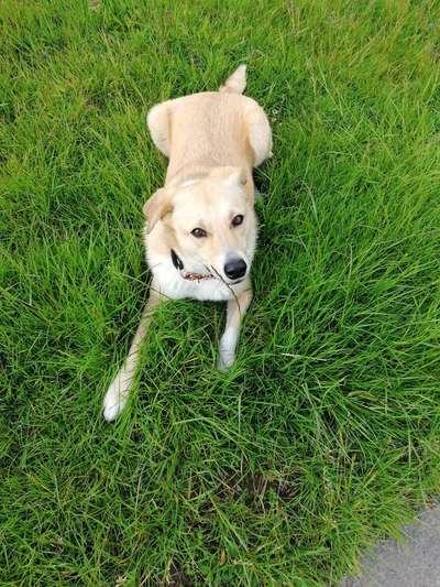 FOTOCHALLENGE 86-Beitrag-Bild