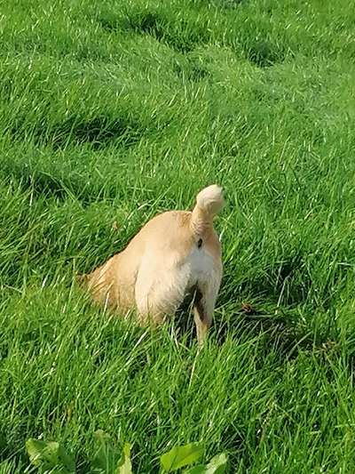 Foto-Challange No.1 - Alles aber nicht die Kamera-Beitrag-Bild