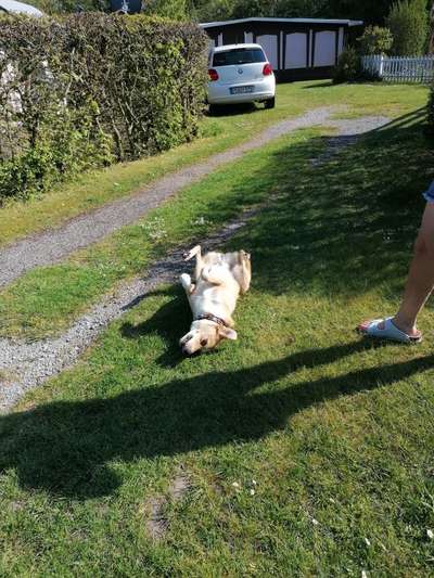 Foto-Challenge Nr. 90: Lebensfreude-Beitrag-Bild