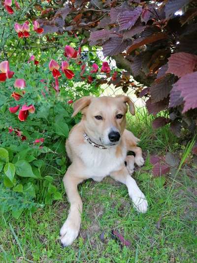 Fotowettbewerb Natur-Beitrag-Bild