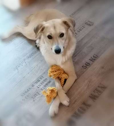 Doppelgänger gesucht !-Beitrag-Bild