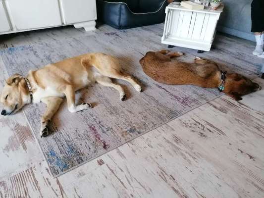 FOTO-Challenge  NR. 91: Die pure Entspannung-Beitrag-Bild