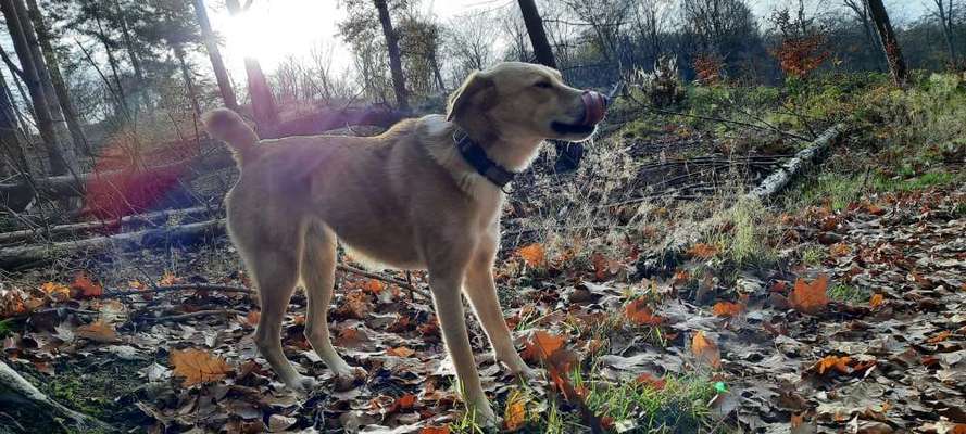 Fotochallange 84-Beitrag-Bild