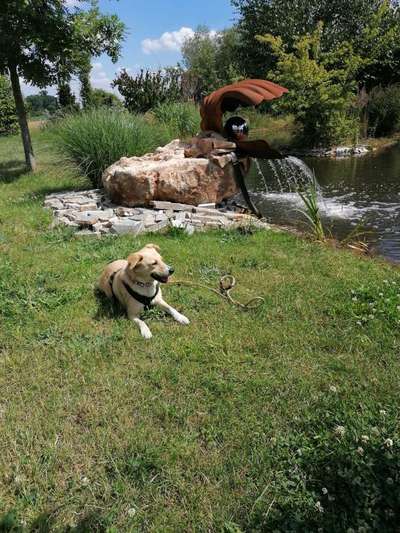 Fotowettbewerb Natur-Beitrag-Bild