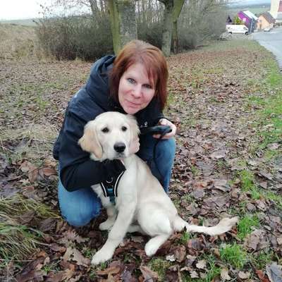 Hundetreffen-Gassirunde und Spieletreff-Profilbild