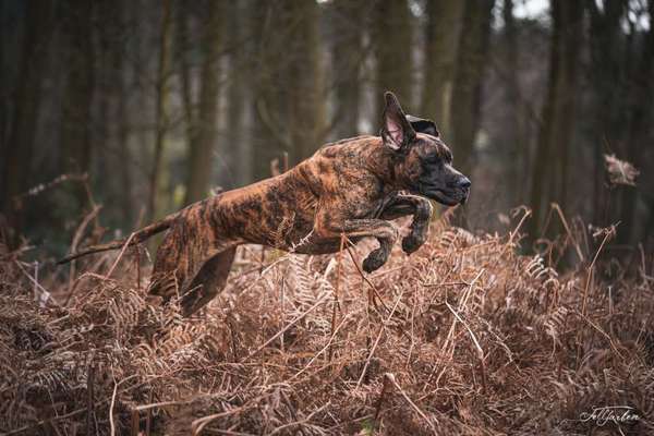 Herbst Bilder-Beitrag-Bild