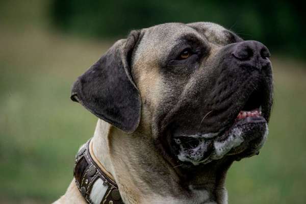 Zeigt eure Portraits-Beitrag-Bild