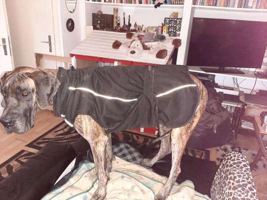 Wintermantel-Beitrag-Bild