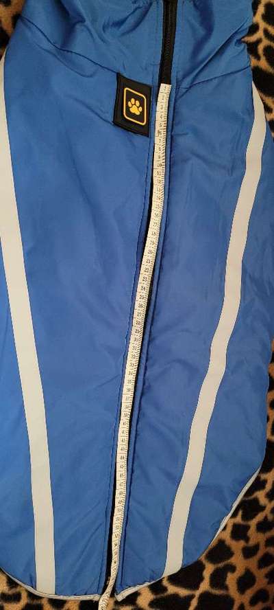 Hunde ohne Unterwolle-Beitrag-Bild