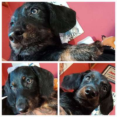 Zeigt eure Portraits-Beitrag-Bild