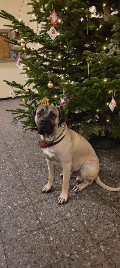 Seltene Rassen!-Beitrag-Bild