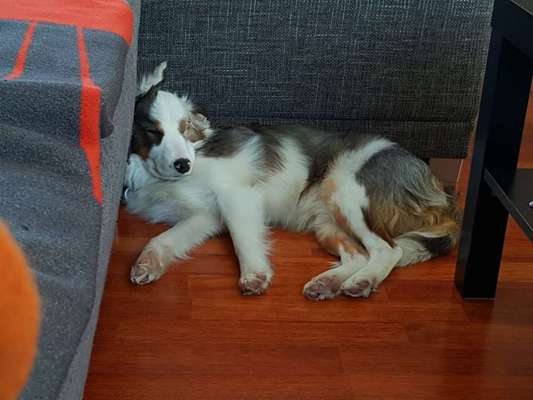 CHALLENGE NR. 34 - Liege-/Schlafpositionen-Beitrag-Bild