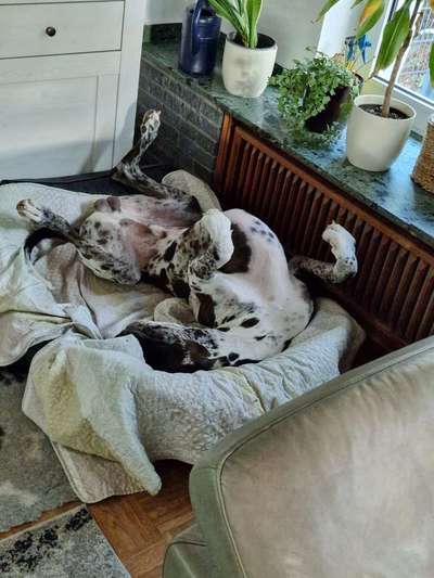 Relaxen im bett-Beitrag-Bild