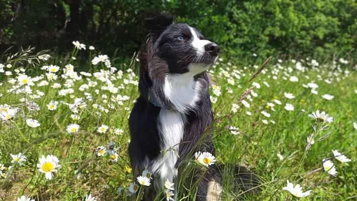 Theos  Fotochallenge Nummer 2-Beitrag-Bild