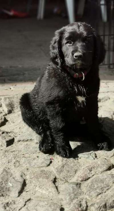 Fotochallenge Nr. 67: Euer Lieblingsbild-Beitrag-Bild