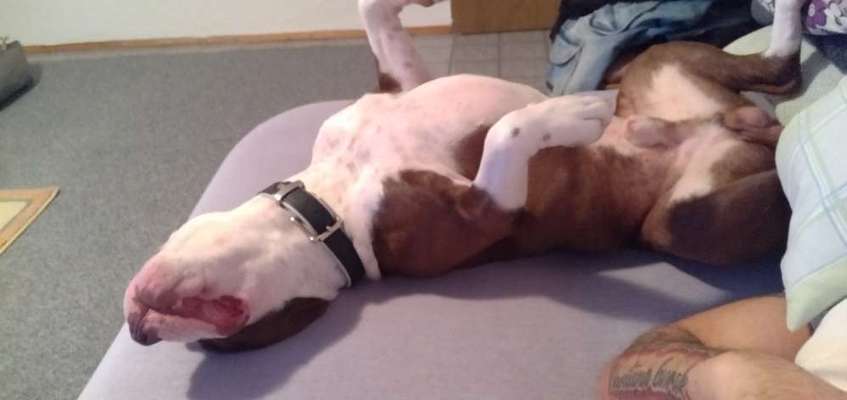 Die unbequemsten und lustigsten Schlafpositionen-Beitrag-Bild