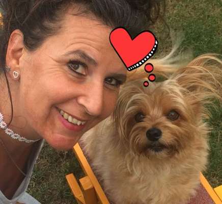 Dogorama Photo Challenge - Be my valentine-Beitrag-Bild