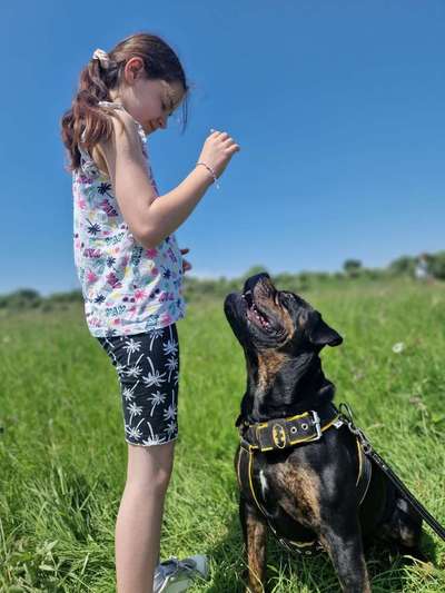 Kinder und Hunde-Beitrag-Bild